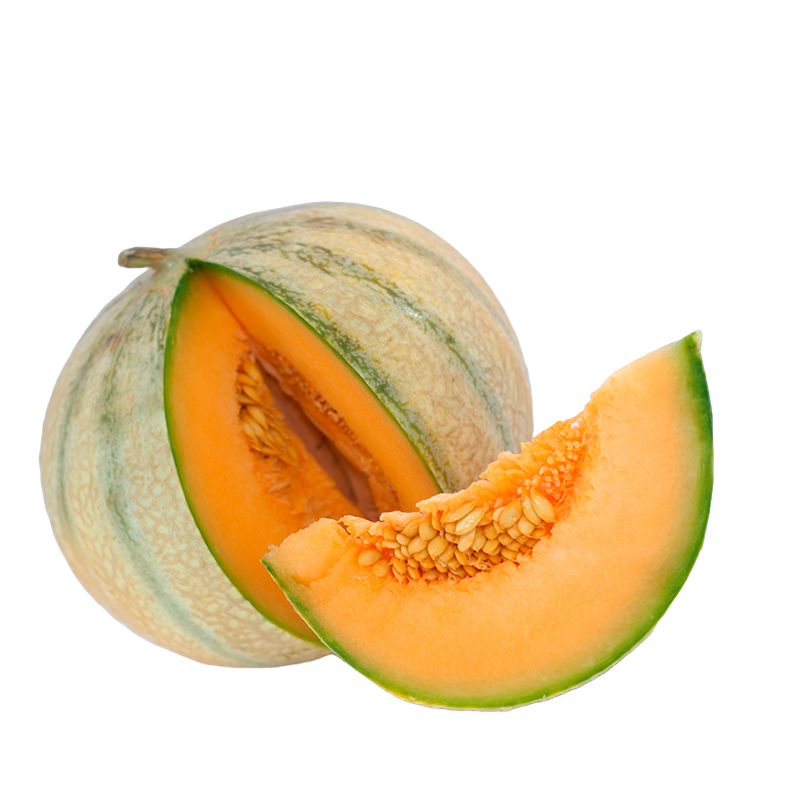 Cantaloupe