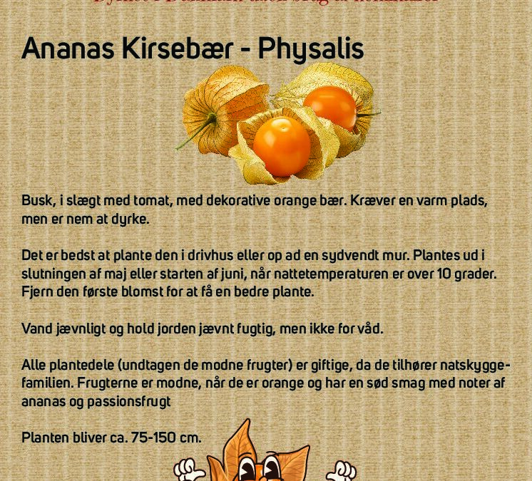 Ananas kirsebaer_bordskilte