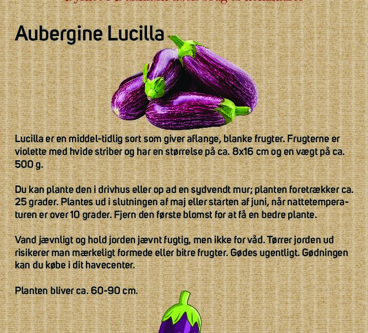 Aubergine_bordskilte